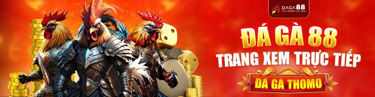Đá Gà Trực Tuyến MM8